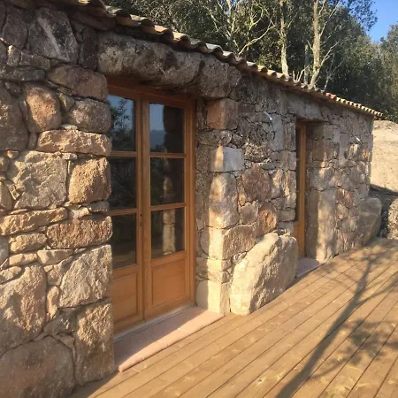 Alzitedda ゲストハウス