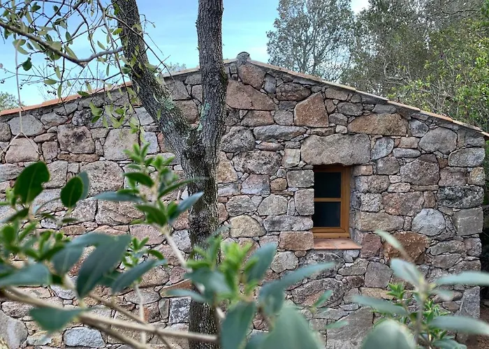 Alzitedda 维琪奥港